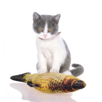 360Home Simulierte Karpfen Fisch Plüschkissen Katzenspielzeug